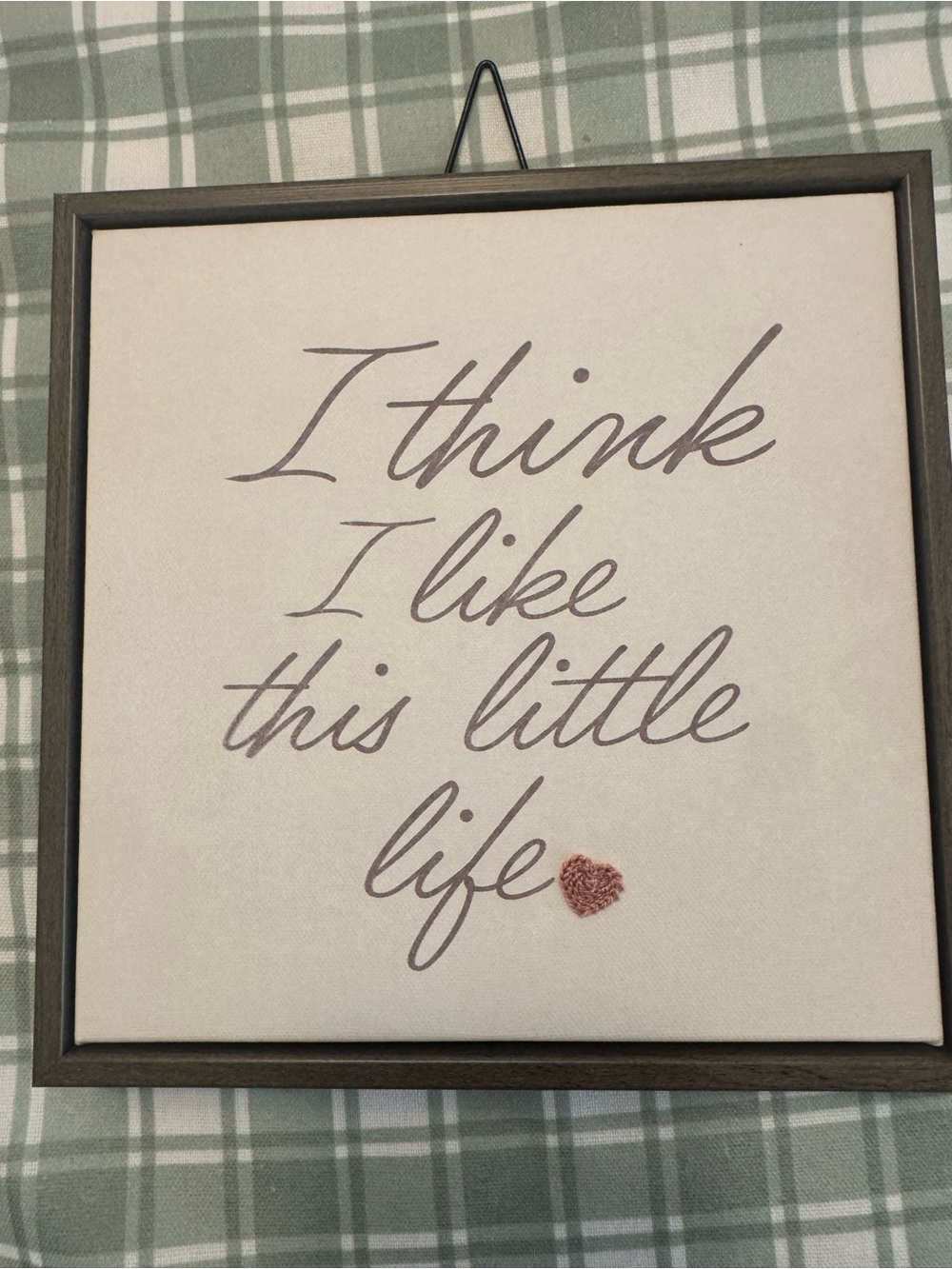 'I Think I Like This Little Life' Framed Wall Art - Pink Script